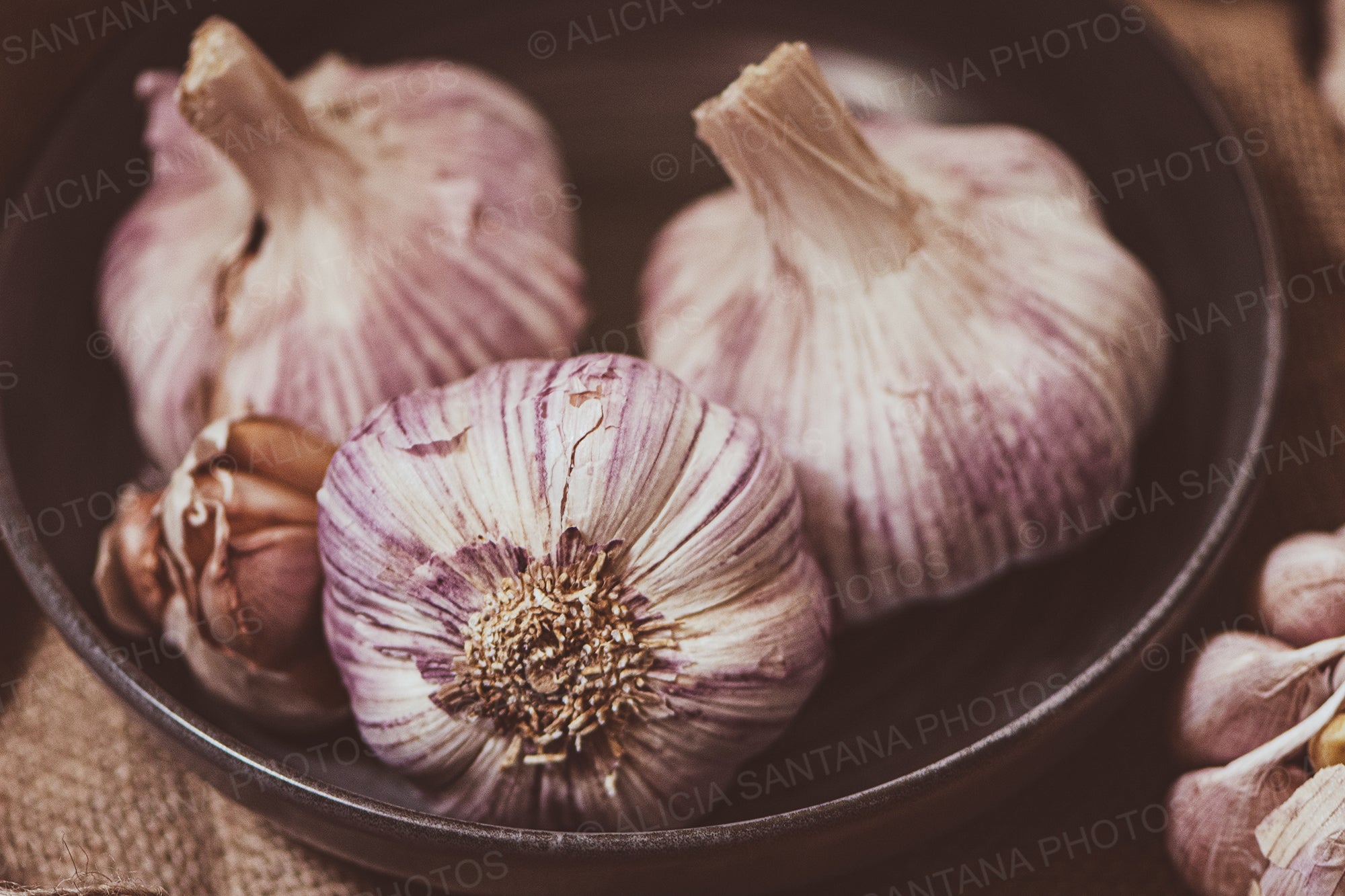 Close-Up Garlic bulbs