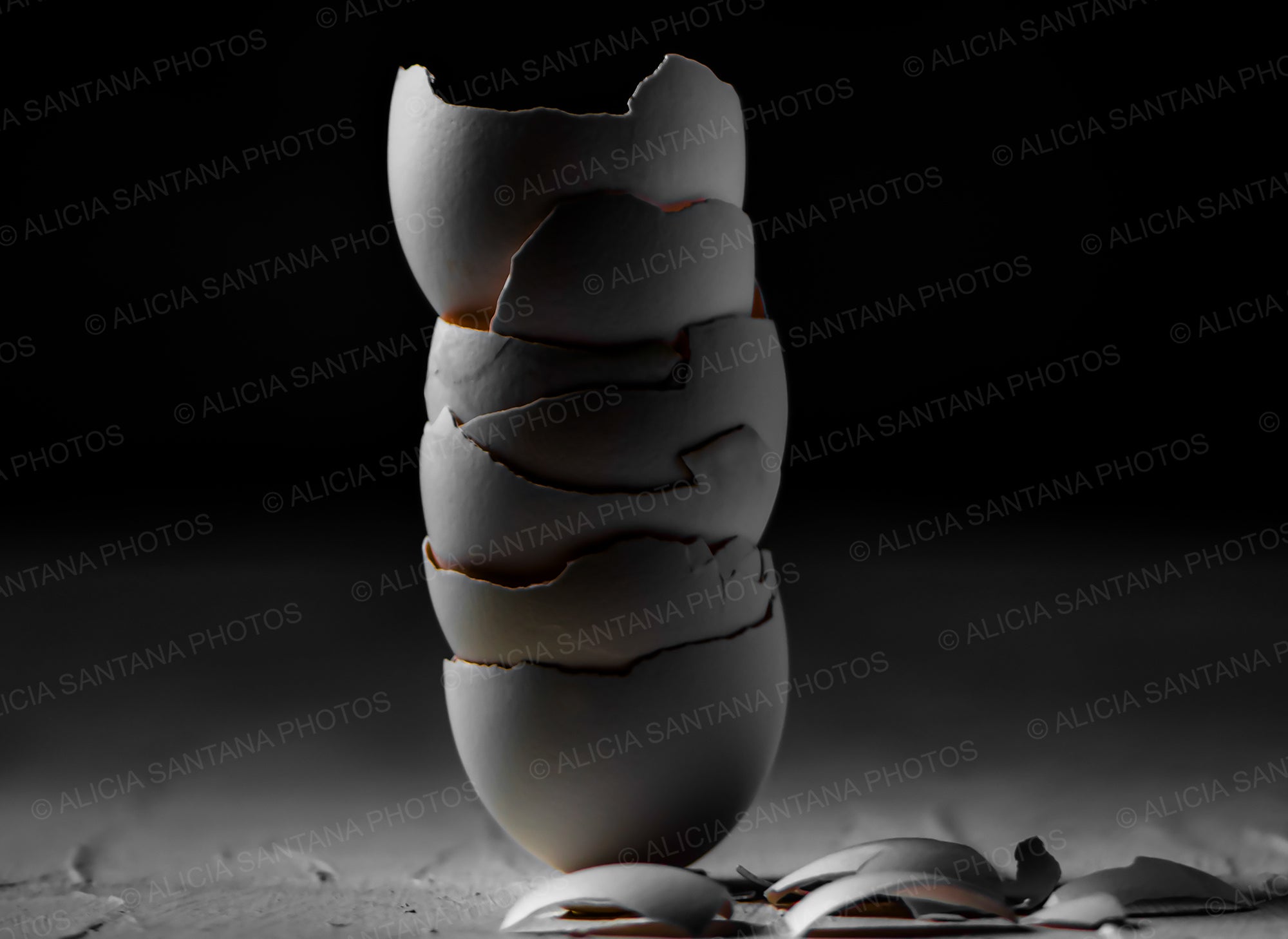 Egg Shells Dark Mood