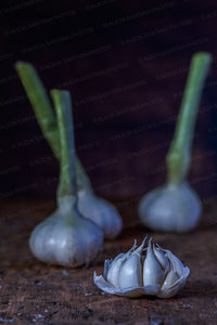 Fresh Garlic on Wood