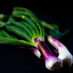 A branch of vibrant spring onions set against a dark backdrop, showcasing freshness and contrast