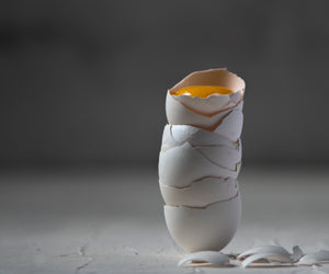 Eggs shells standing up.jpg